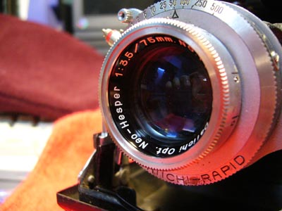 P1000255.jpg